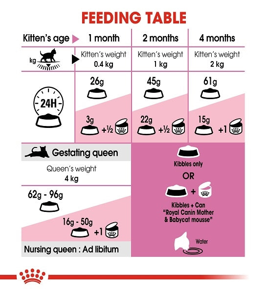 Royal Canin Mother & Babycat Dry Cat Food - 5