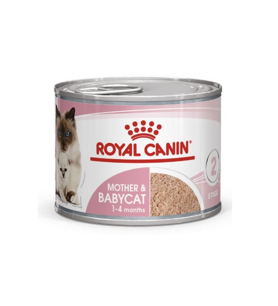 Royal Canin Mother & Babycat Mousse - Young & Adult Wet Cat Food - 1