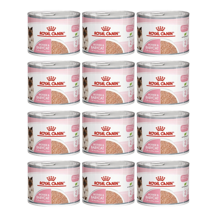 Royal Canin Mother & Babycat Mousse - Young & Adult Wet Cat Food - 3