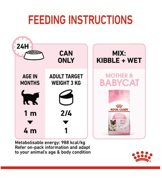 Royal Canin Mother & Babycat Mousse - Young & Adult Wet Cat Food - 6
