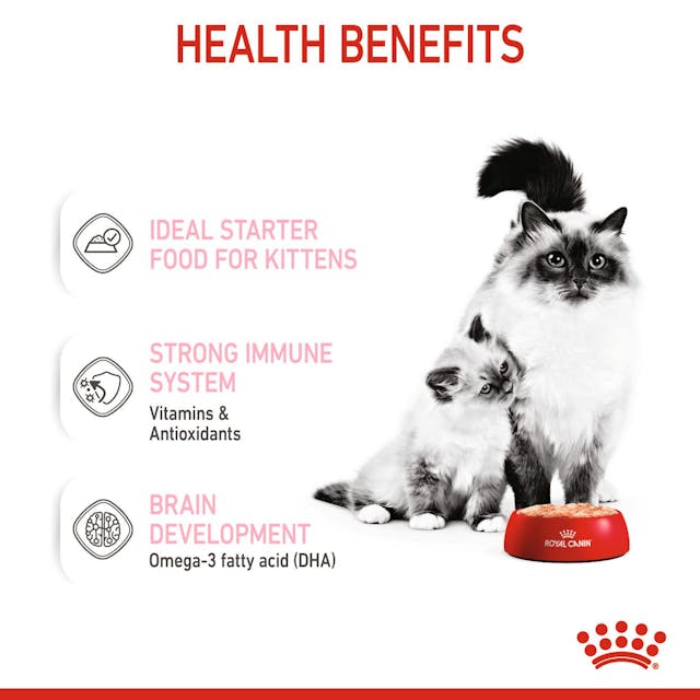 Royal Canin Mother & Babycat Mousse - Young & Adult Wet Cat Food - 7
