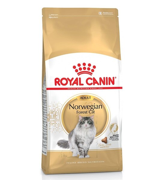 Royal Canin Norwegian Forest Cat 2KG - 1