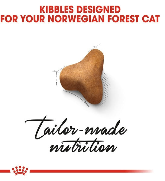 Royal Canin Norwegian Forest Cat 2KG - 3
