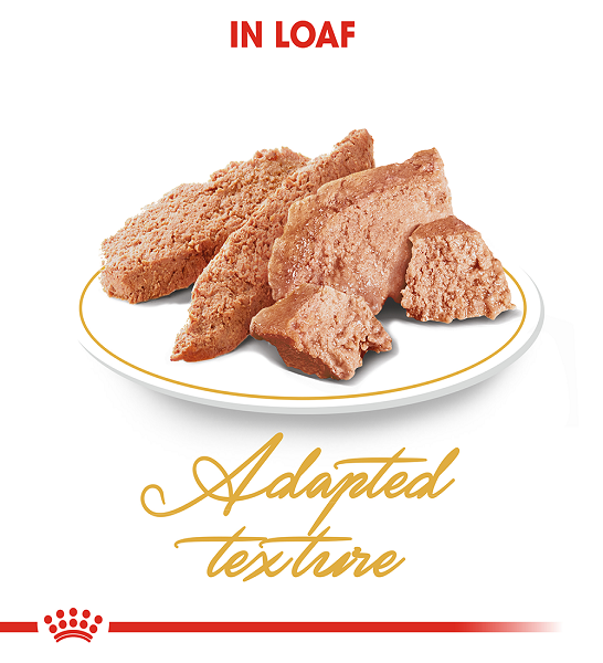 Royal Canin Persian Adult Wet Cat Food - 4