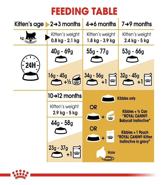 Royal Canin Persian Kitten Dry Food - 5 