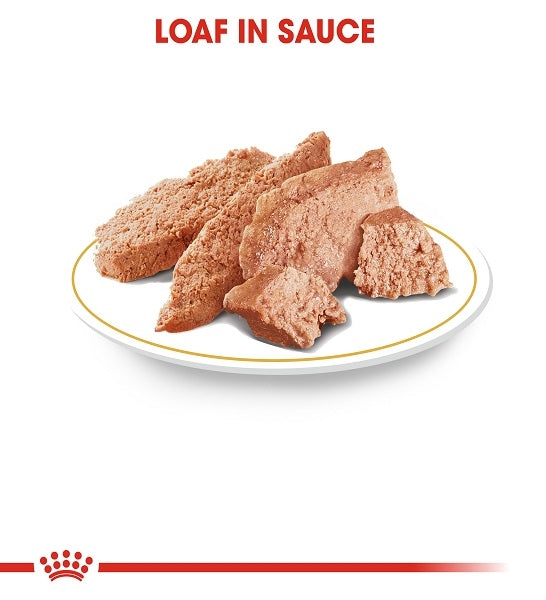 Royal Canin Poodle Adult Wet Dog Food 85G - 3
