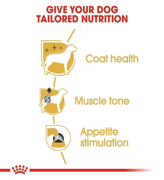 Royal Canin Poodle Adult Wet Dog Food 85G - 4