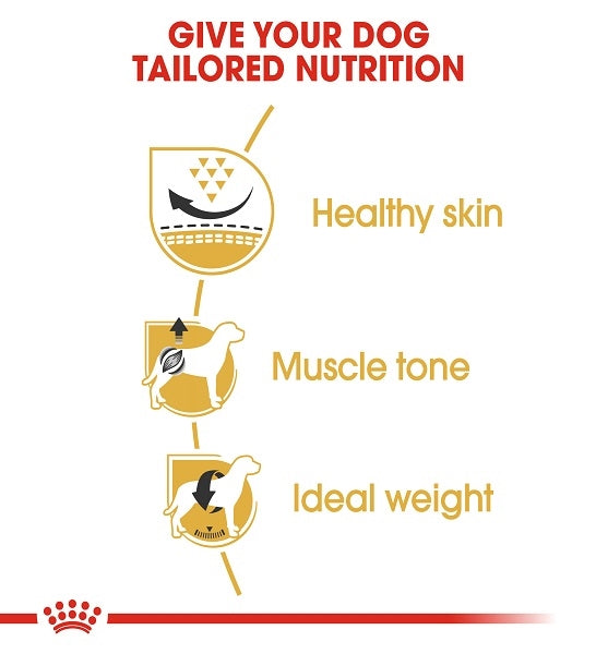 Royal Canin Pug Adult Dry Dog Food - 4