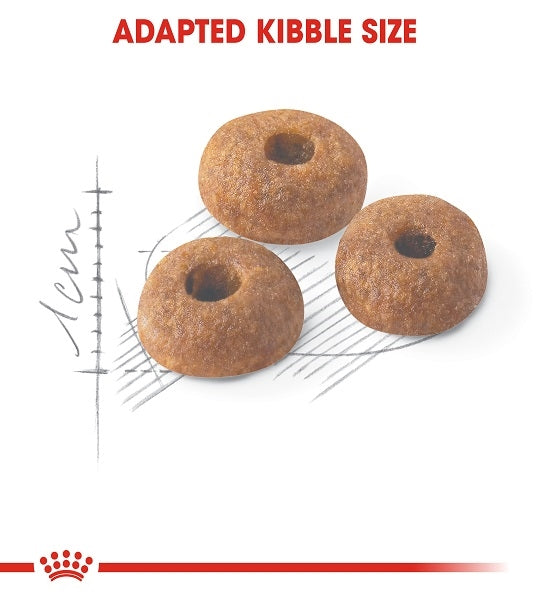 Royal Canin Regular Fit 32 Adult Dry Cat Food - 3