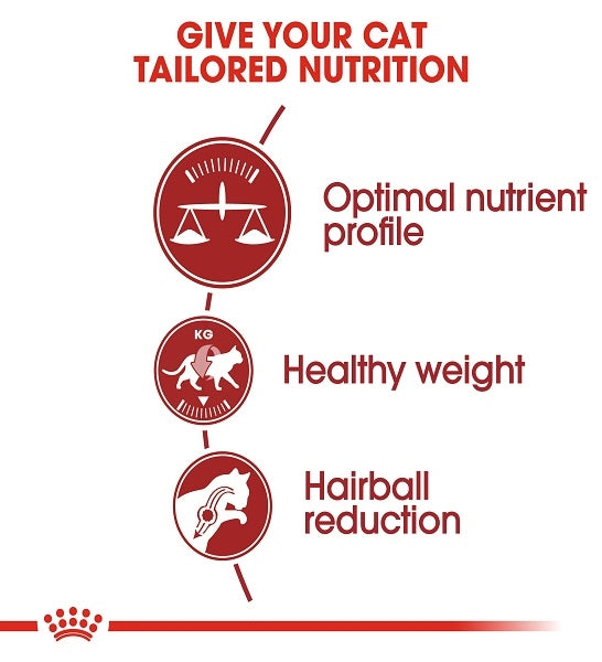 Royal Canin Regular Fit 32 Adult Dry Cat Food - 4