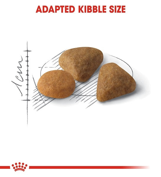 Royal Canin Savour Exigent Adult Dry Cat Food - 3