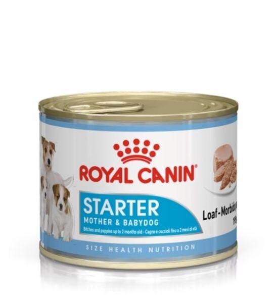 Royal Canin Starter Mousse Puppy & Mother Dog Wet Food 195G - 1