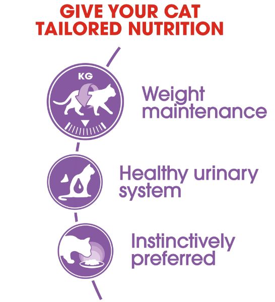 Royal Canin Sterilised Chunks In Gravy Adult Wet Cat Food - 2
