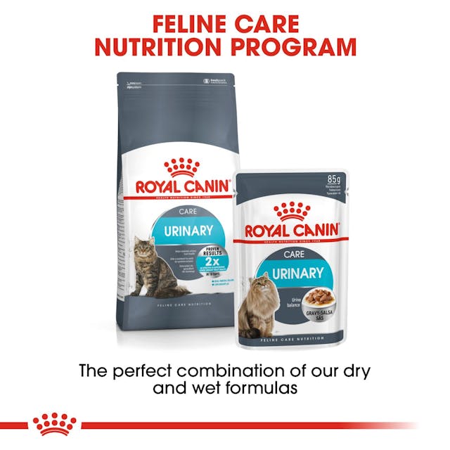 Royal Canin Urinary Care in Gravy Adult Wet Cat Food - 8