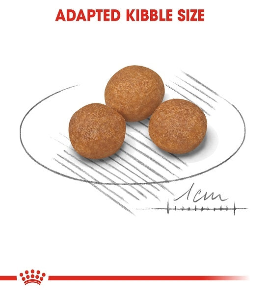 Royal Canin X-Small Adult 8+ Dry Dog Food 1.5KG - 2