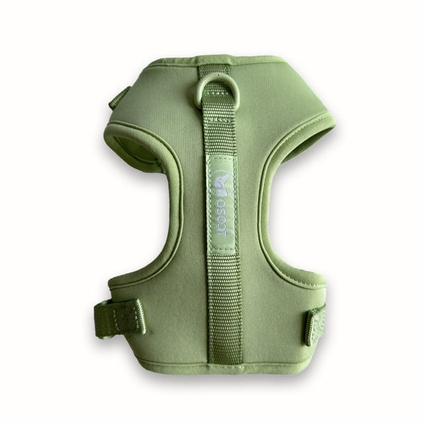 SAGE EVERYDAY HARNESS-1