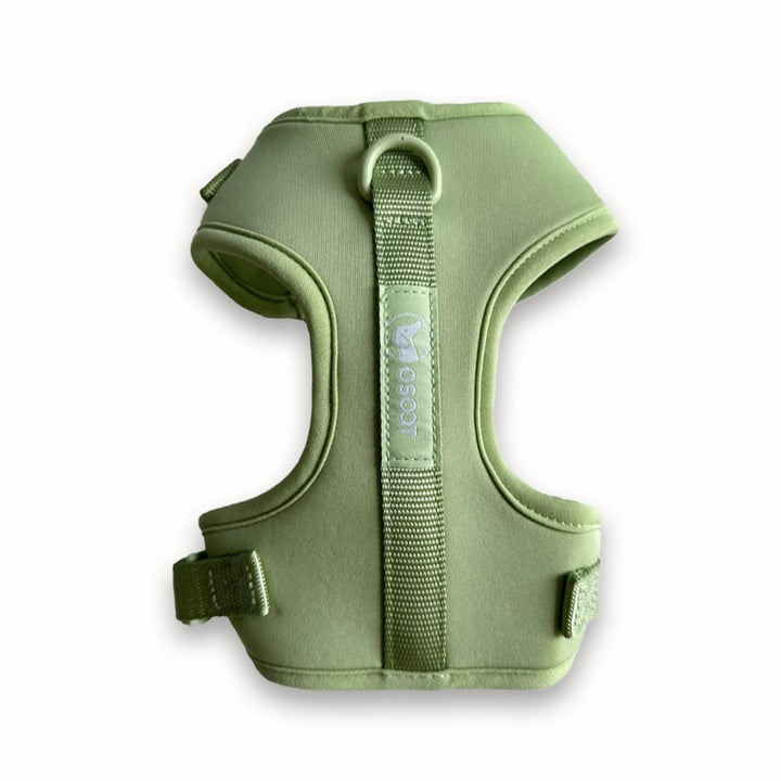 SAGE EVERYDAY HARNESS-1