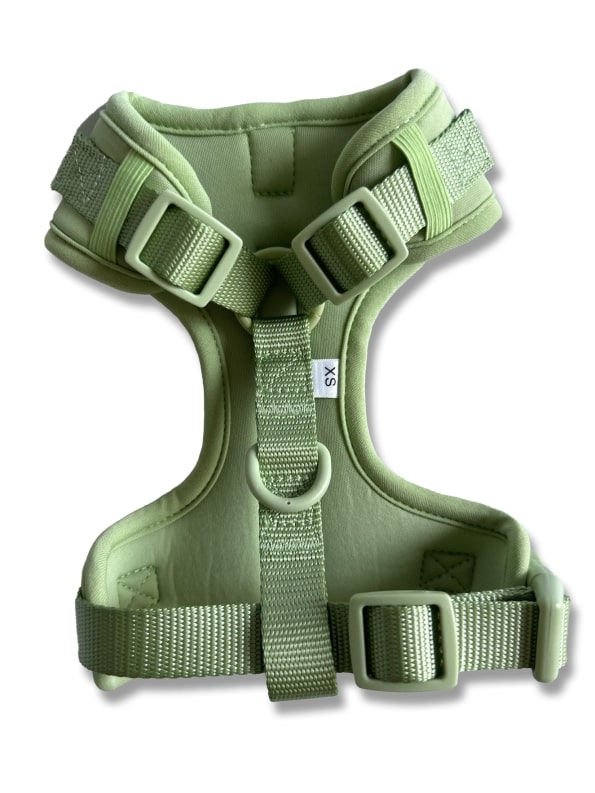 SAGE EVERYDAY HARNESS-2