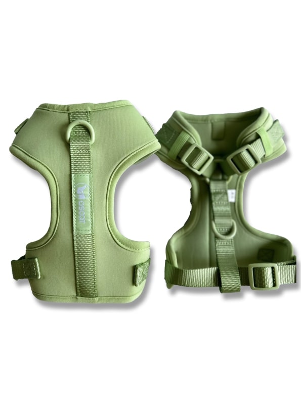 SAGE EVERYDAY HARNESS-3
