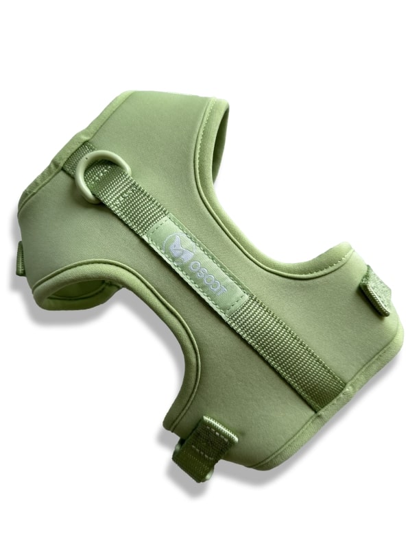 SAGE EVERYDAY HARNESS-4