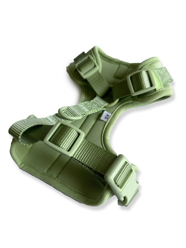 SAGE EVERYDAY HARNESS-5