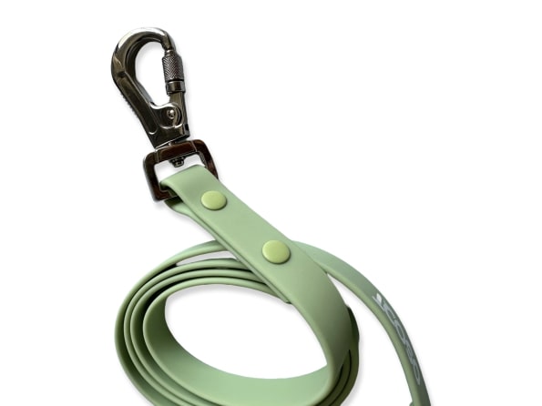 SAGE EVERYDAY LEASH-1