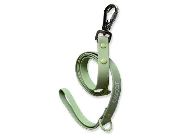 SAGE EVERYDAY LEASH-2