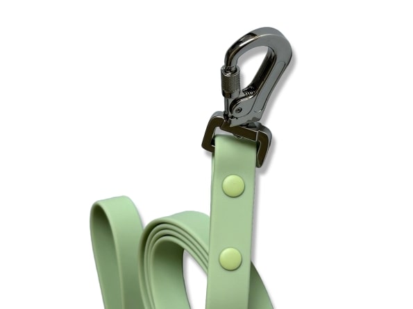 SAGE EVERYDAY LEASH-3