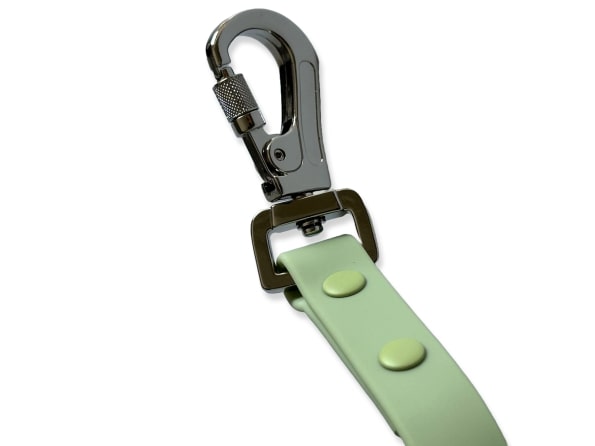 SAGE EVERYDAY LEASH-4