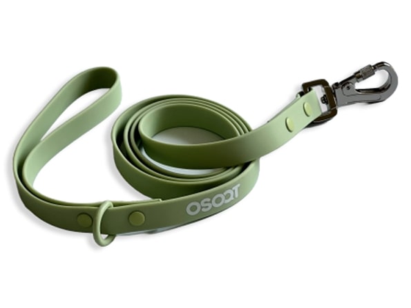 SAGE EVERYDAY LEASH-5