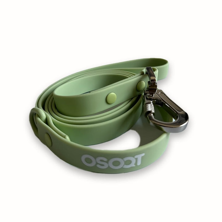 SAGE EVERYDAY LEASH-6