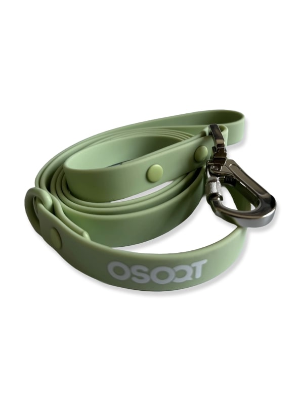 SAGE EVERYDAY LEASH-7