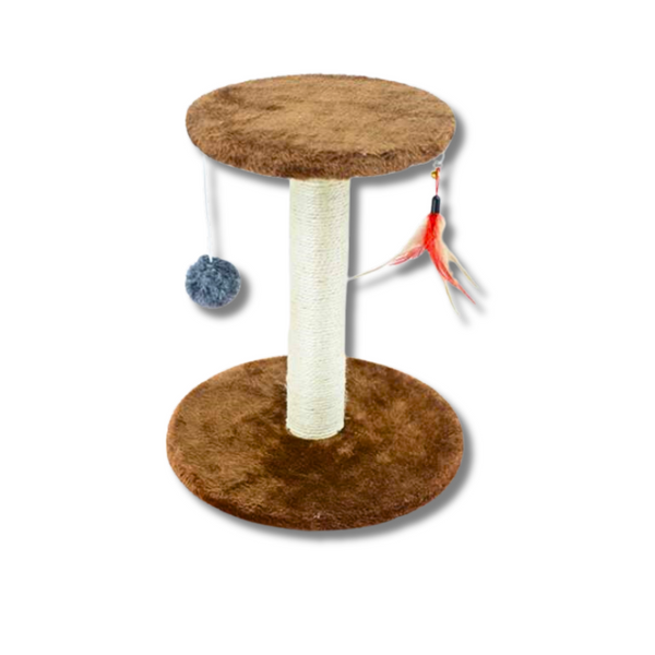 Saas Cat Scratcher 