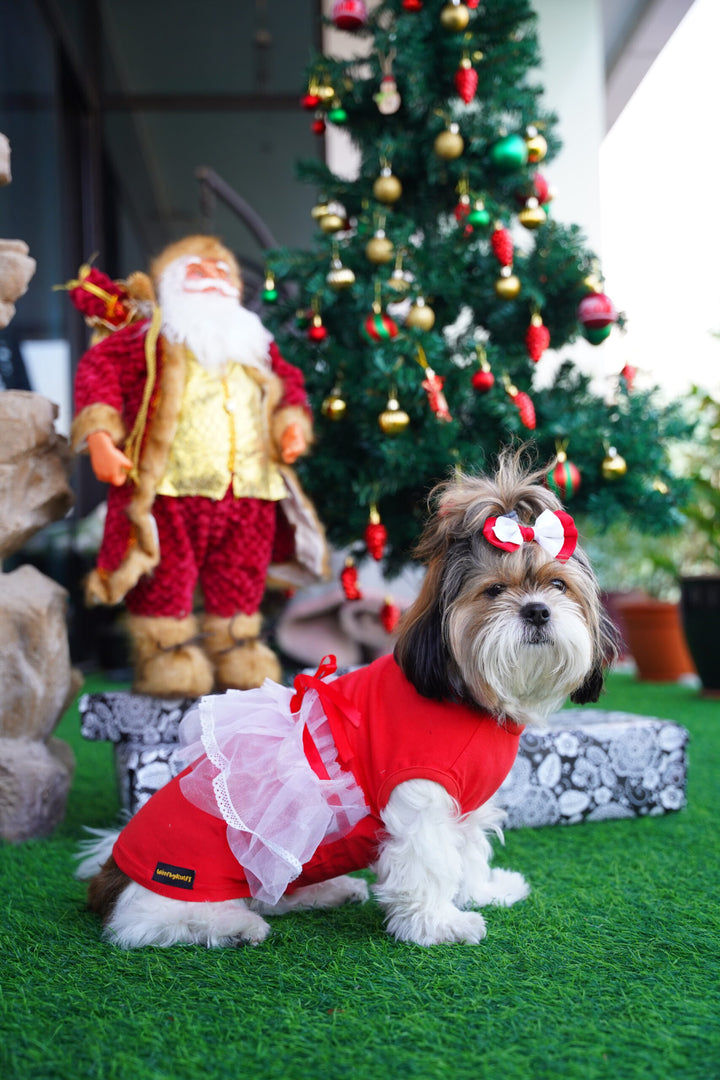 Santa-4