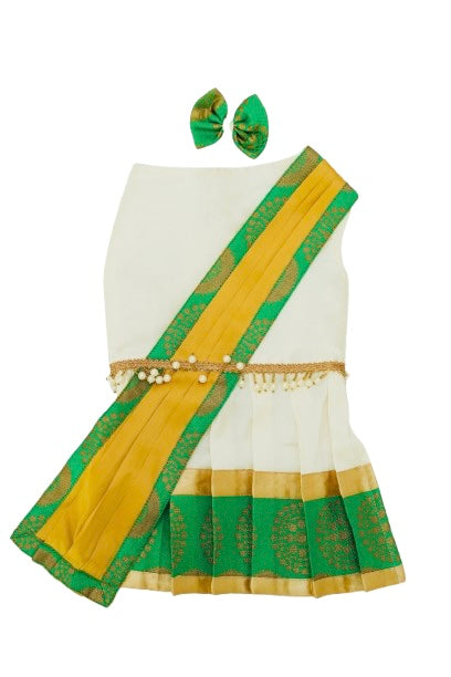 Satin Silk Sari-4