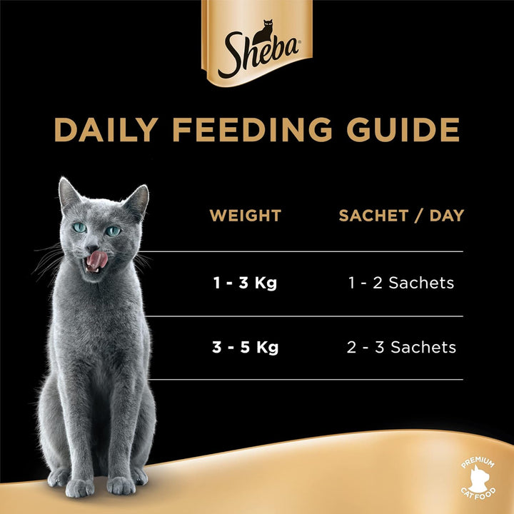 Sheba Cat Food with Melty Tuna & Salmon Flavor-4