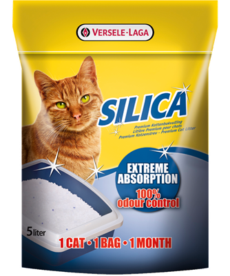 Silica