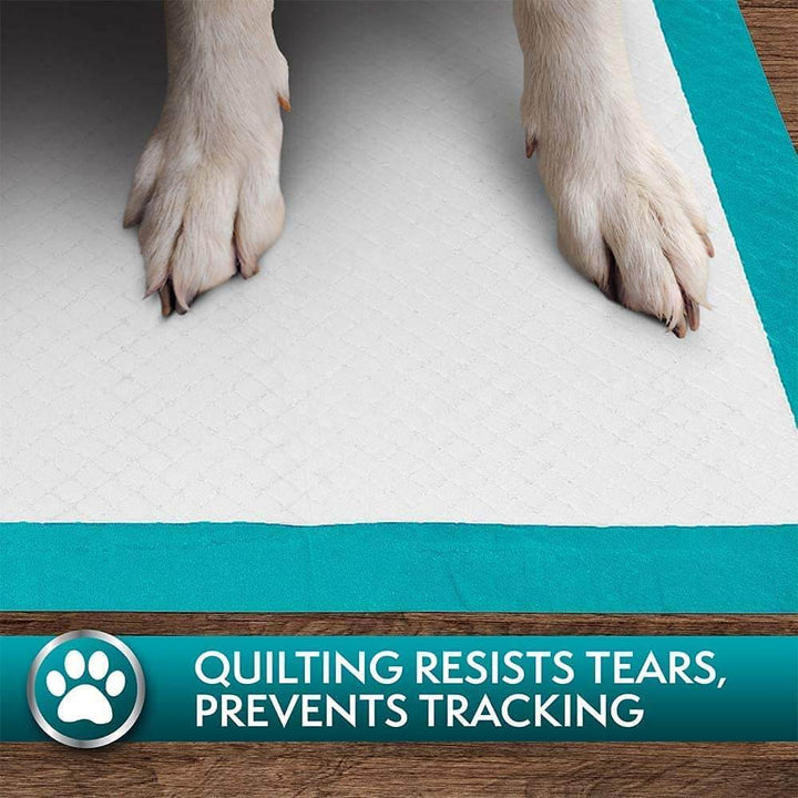 Simple Solution Puppy Training Pad 100pcs-5