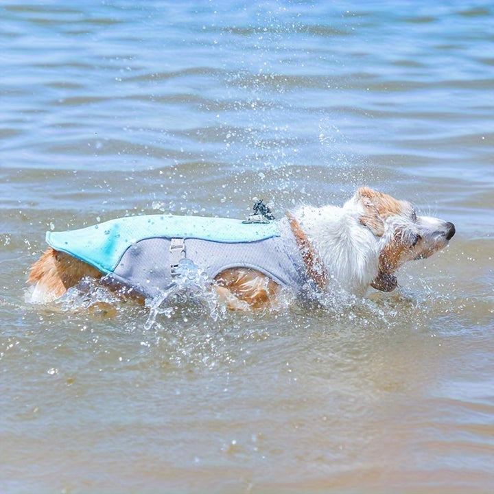 Summer Sun Protection Harness for Small Dog Breeds-2