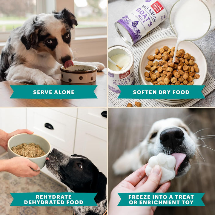 The Honest Kitchen Instant Goat's Milk-5
