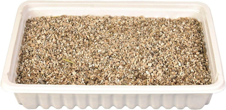  Trixie Cat Grass-2