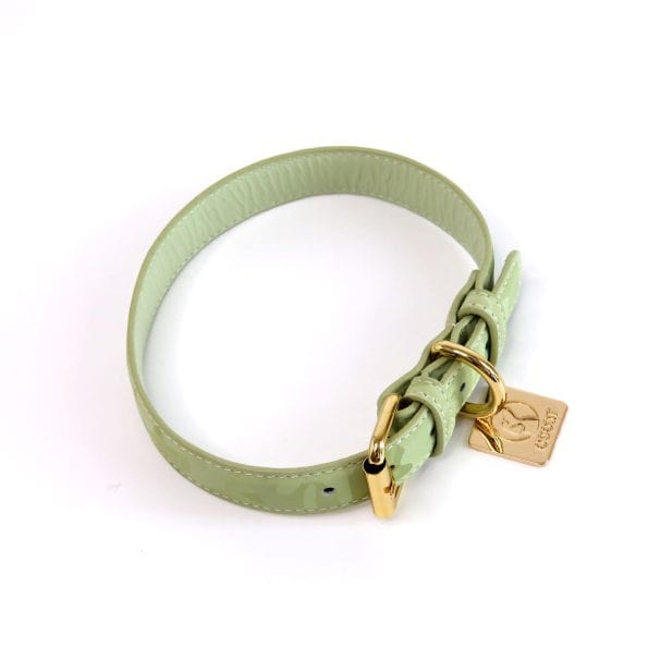 WASABI LEATHER COLLAR-3