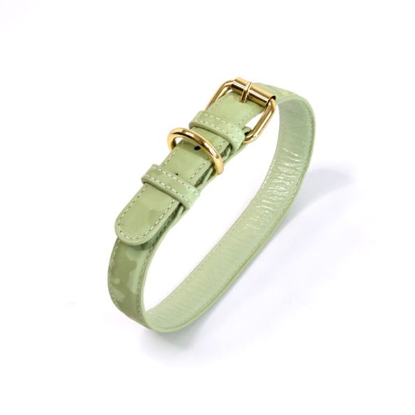 WASABI LEATHER COLLAR-4