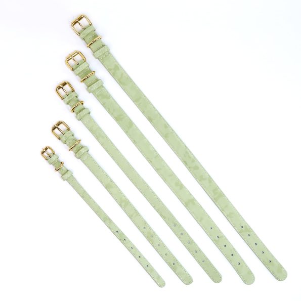 WASABI LEATHER COLLAR-5