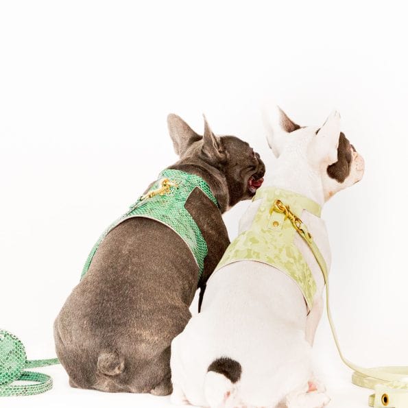 WASABI LEATHER HARNESS-4