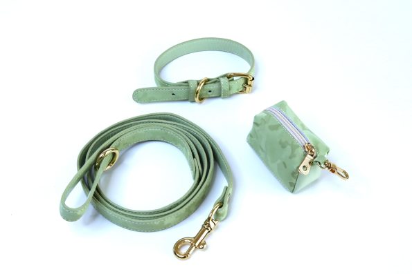 WASABI LEATHER LEASH-3