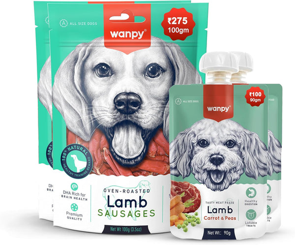 Wanpy Lamb Sausages Dog Treats 100g-1