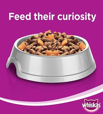 Whiskas Adult Chicken Dry Cat Food-1