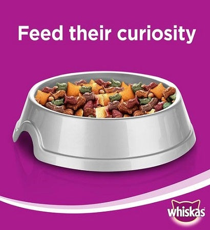 Whiskas Adult Grilled Salmon Steak Flavour Dry Cat Food 1.2 Kg-3
