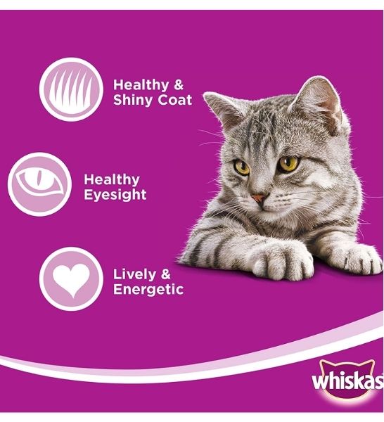 Whiskas Tender Bites Beef in Gravy Pouch Pack 80g-2